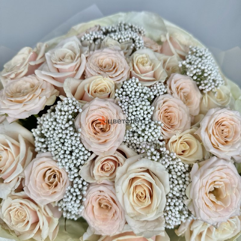 Молочные сны