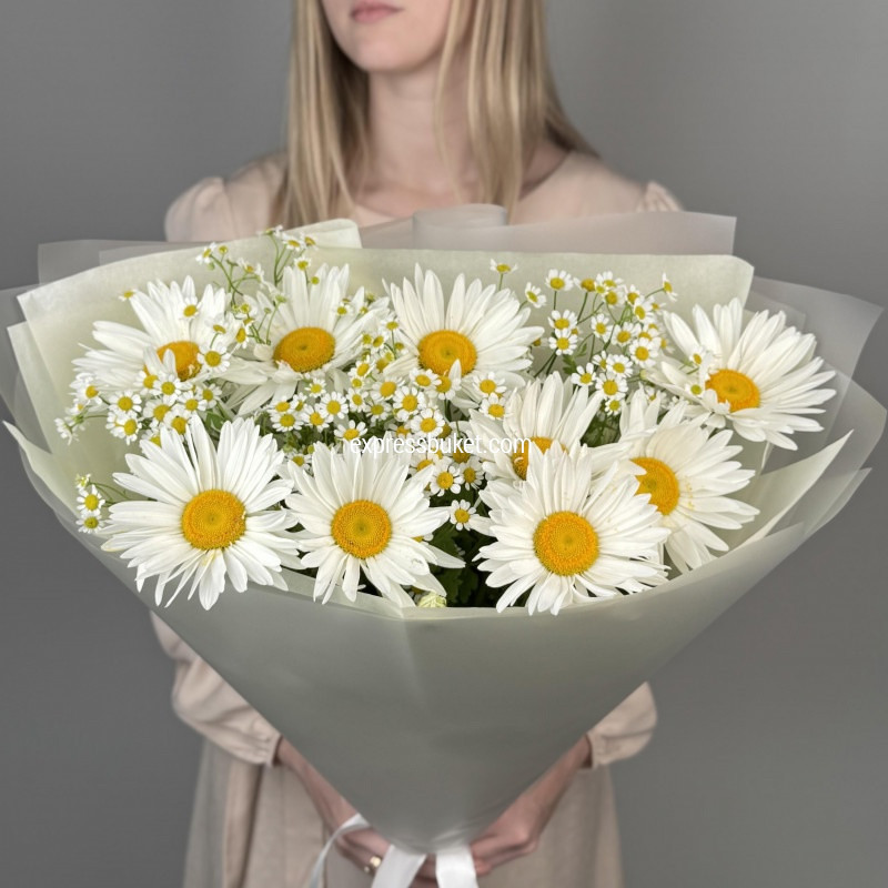 Милые ромашки