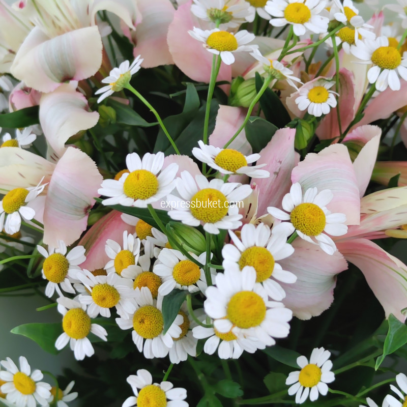 Букет альстромерий с танацетумом