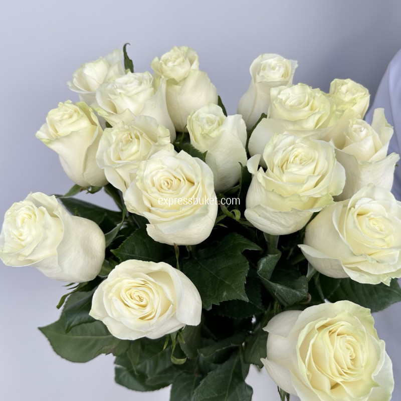 Прекрасный день